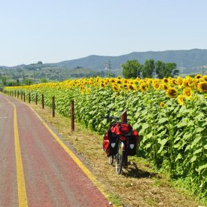 Wandelen en fietsen